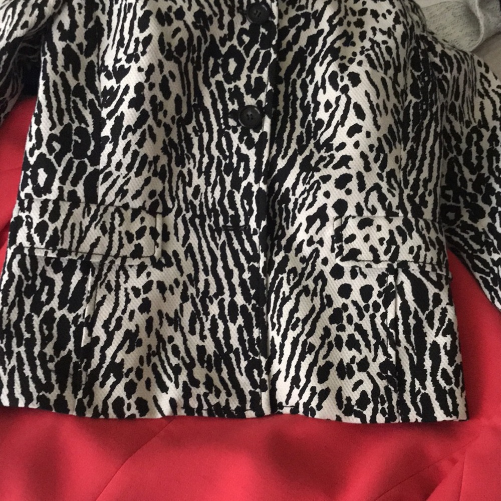Talbots jacket - Picture 10 of 10